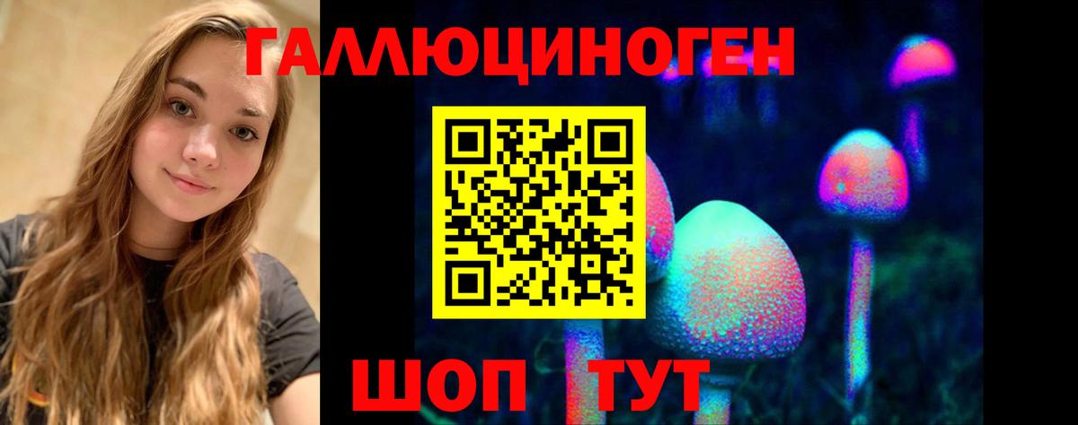 Галлюциногенные грибы Psilocybine cubensis  Галлюциногенные грибы Psilocybine cubensis  Владикавказ  Вход с VPN 
